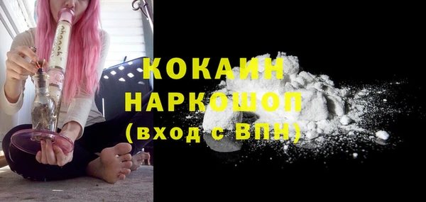 прущие грибы Алзамай