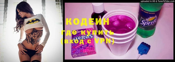 прущие грибы Алзамай