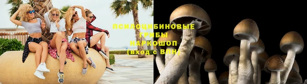 МДПВ Алексеевка