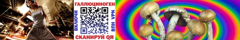 Галлюциногенные грибы Psilocybine cubensis  Грязи 