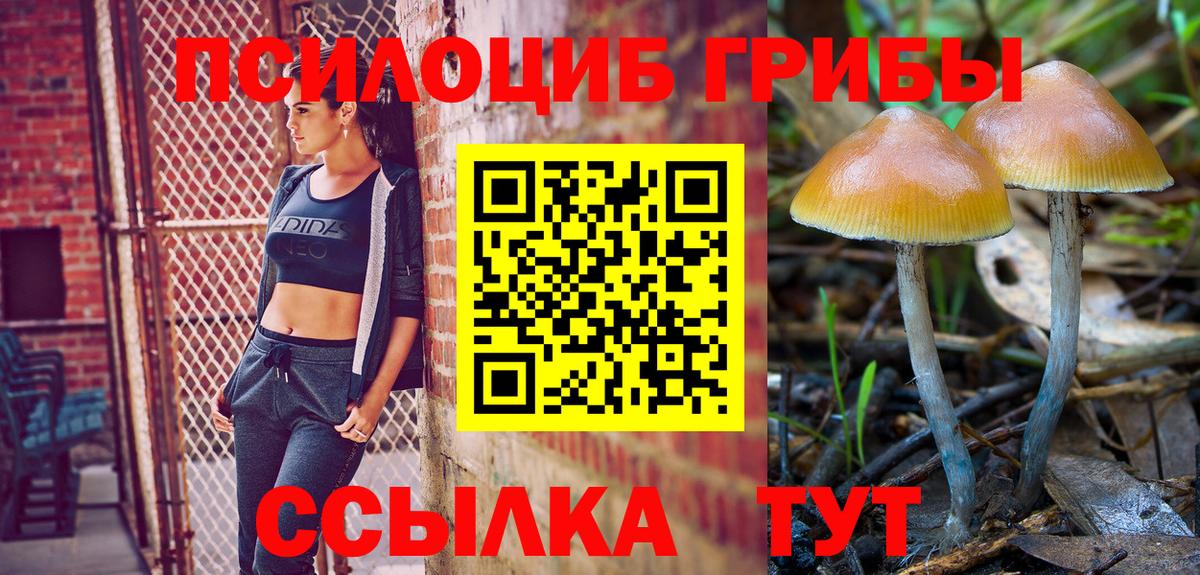 Галлюциногенные грибы мицелий  Псилоцибиновые грибы мухоморы  Грязи  Вход с VPN 